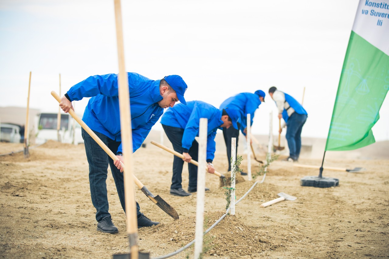 Bank of Baku-dan yaşıl təşəbbüs – növbəti ağacəkmə aksiyası keçirildi
